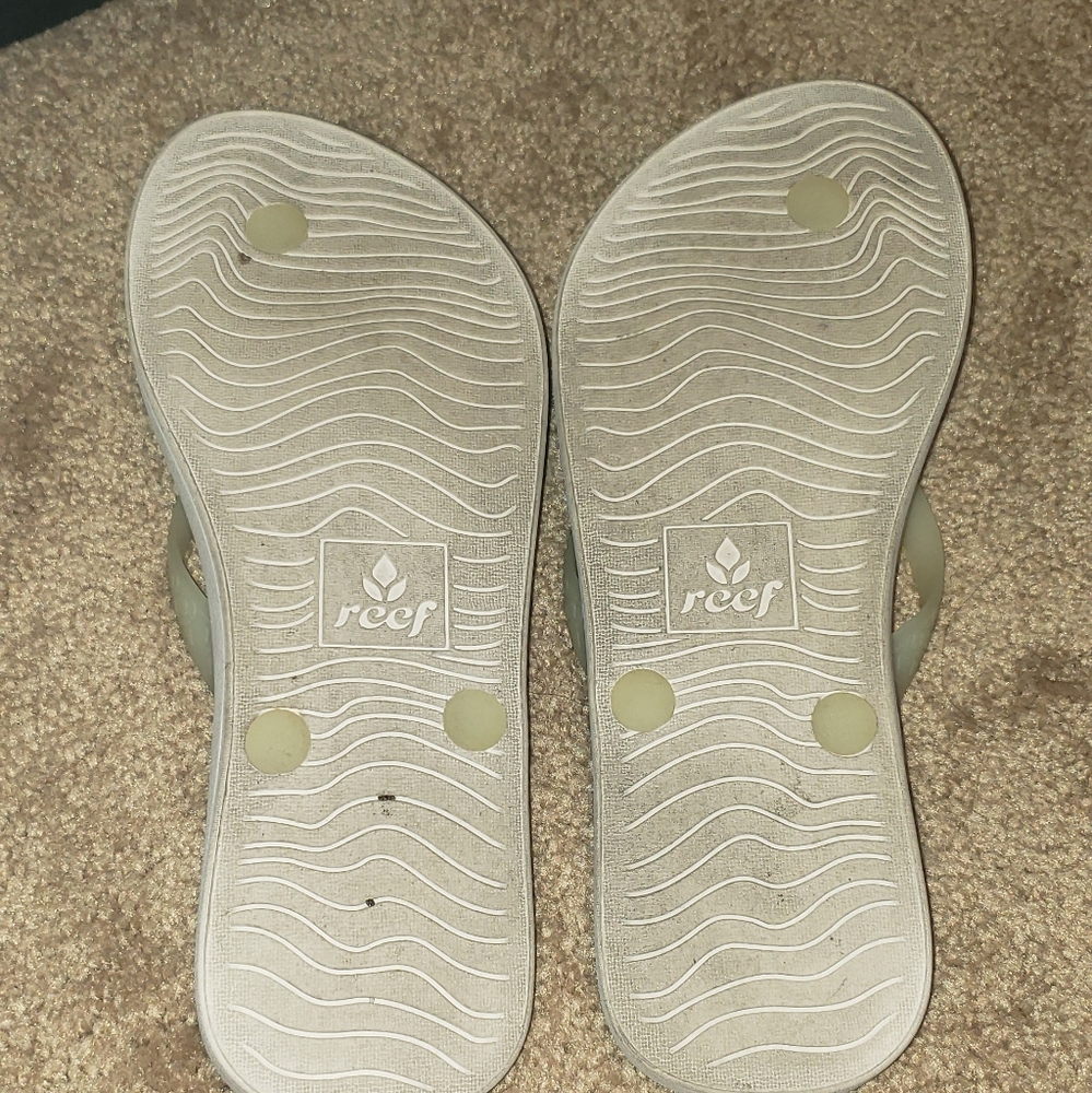 Cream colored reefs - Picture 2 of 2